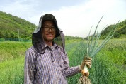 유황발효농법으로 농사짓는 바보농부 17년차 작은농부농장